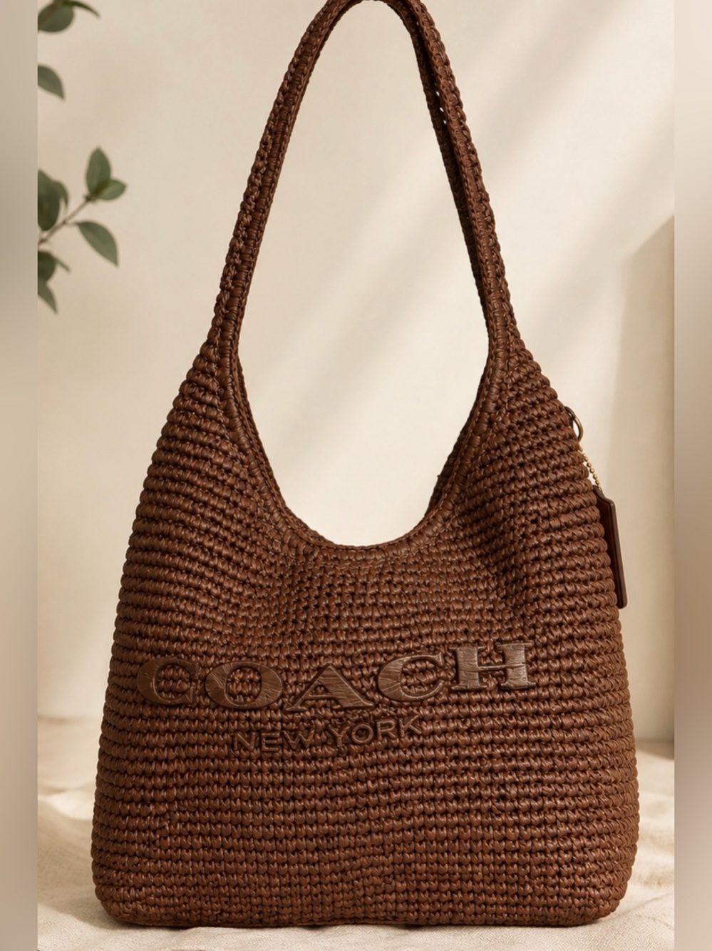Coach Brown Woven Shoulder Bag